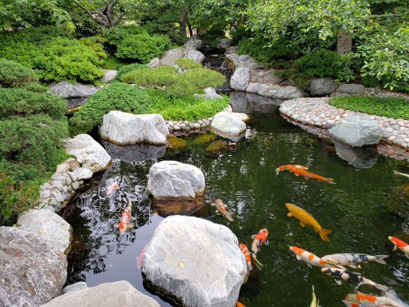 Koi Pond Construction detail