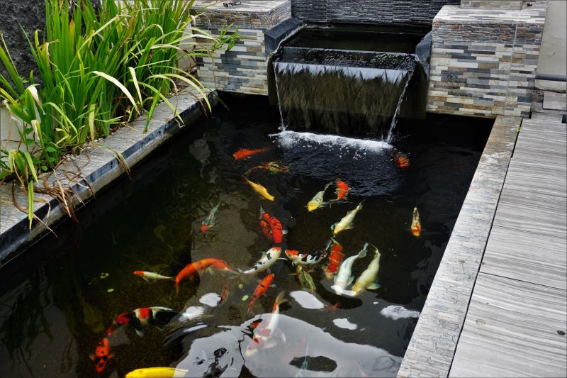 Koi Pond Construction detail