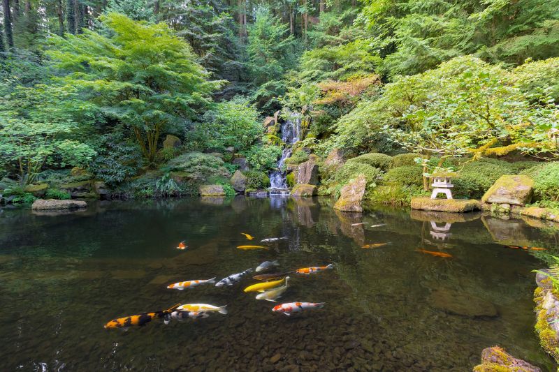 Koi Pond Installation in Anderson