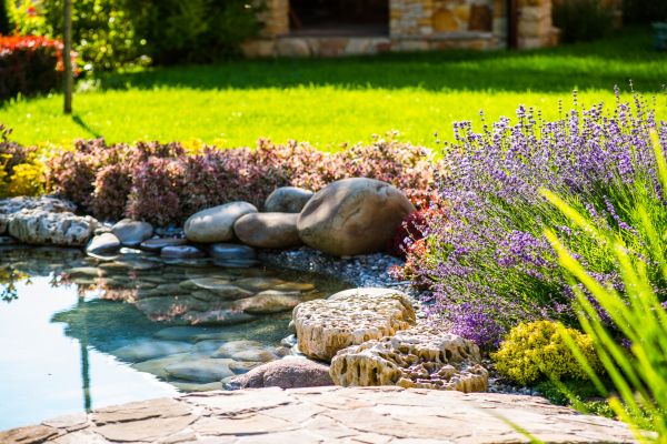 Garden Pond Installation in Anderson
