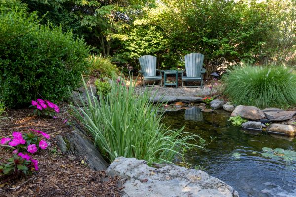 Pond Construction in Anderson