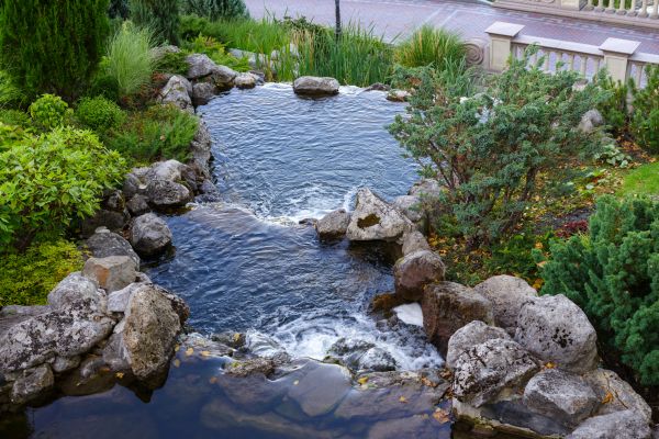 Water Garden Landscaping in Anderson